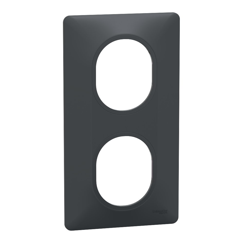 Plaque 2 postes Vert 71mm Anth